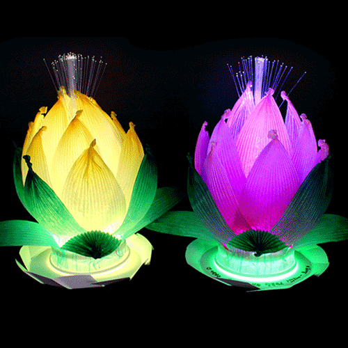 물에 띄우는 LED소원꽃 만들기(5인세트)